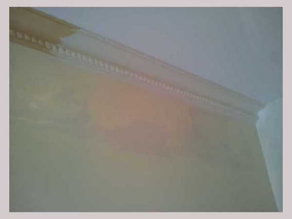 Painter and decorator job images