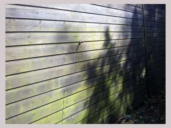 Painter and decorator job images