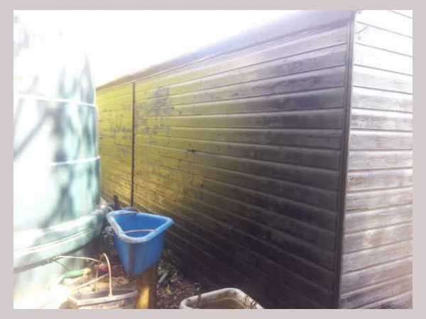 Painter and decorator job images