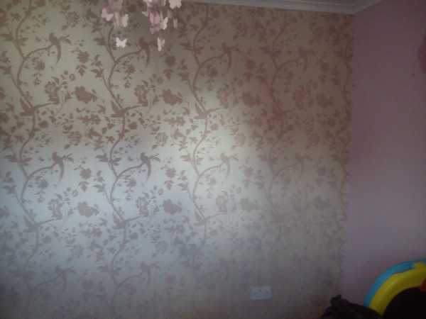 Painter and decorator job images