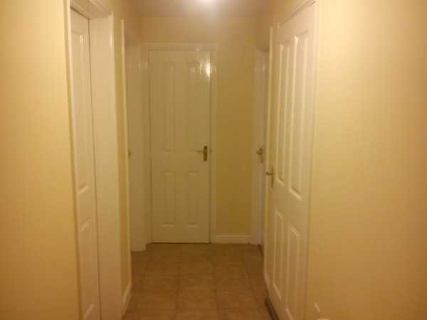 Painter and decorator job images