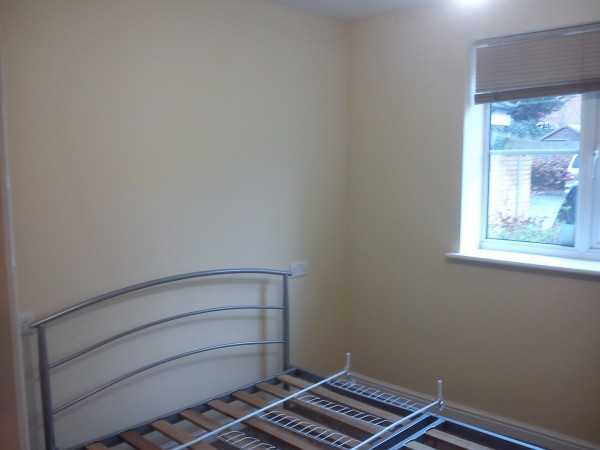 Painter and decorator job images