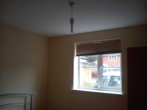 Painter and decorator job images