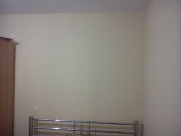 Painter and decorator job images