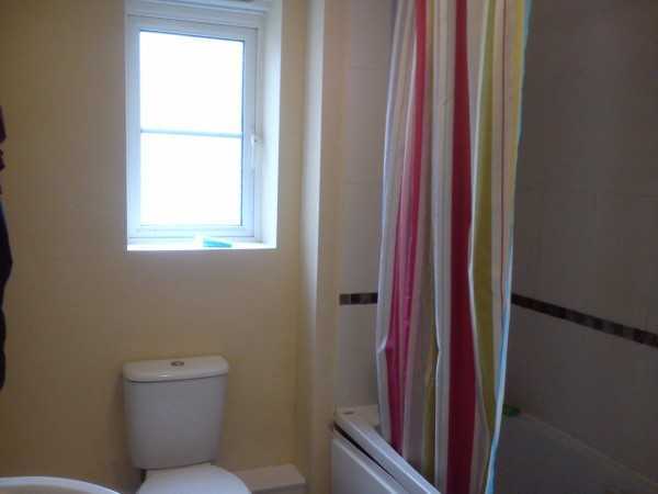 Painter and decorator job images