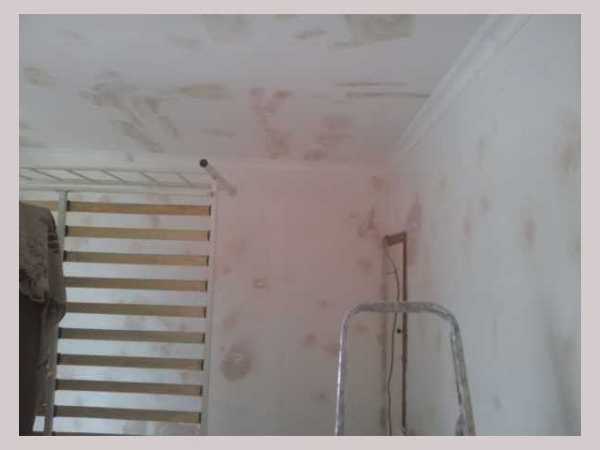 Painter and decorator job images