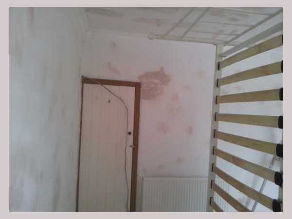 Painter and decorator job images
