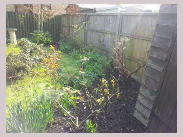 Painter and decorator job images