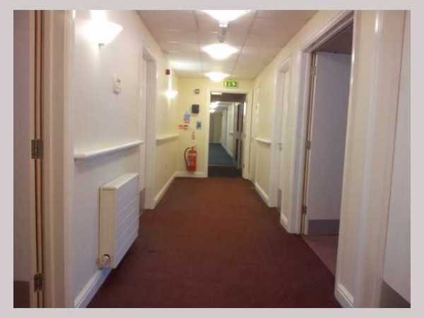 Painter and decorator job images