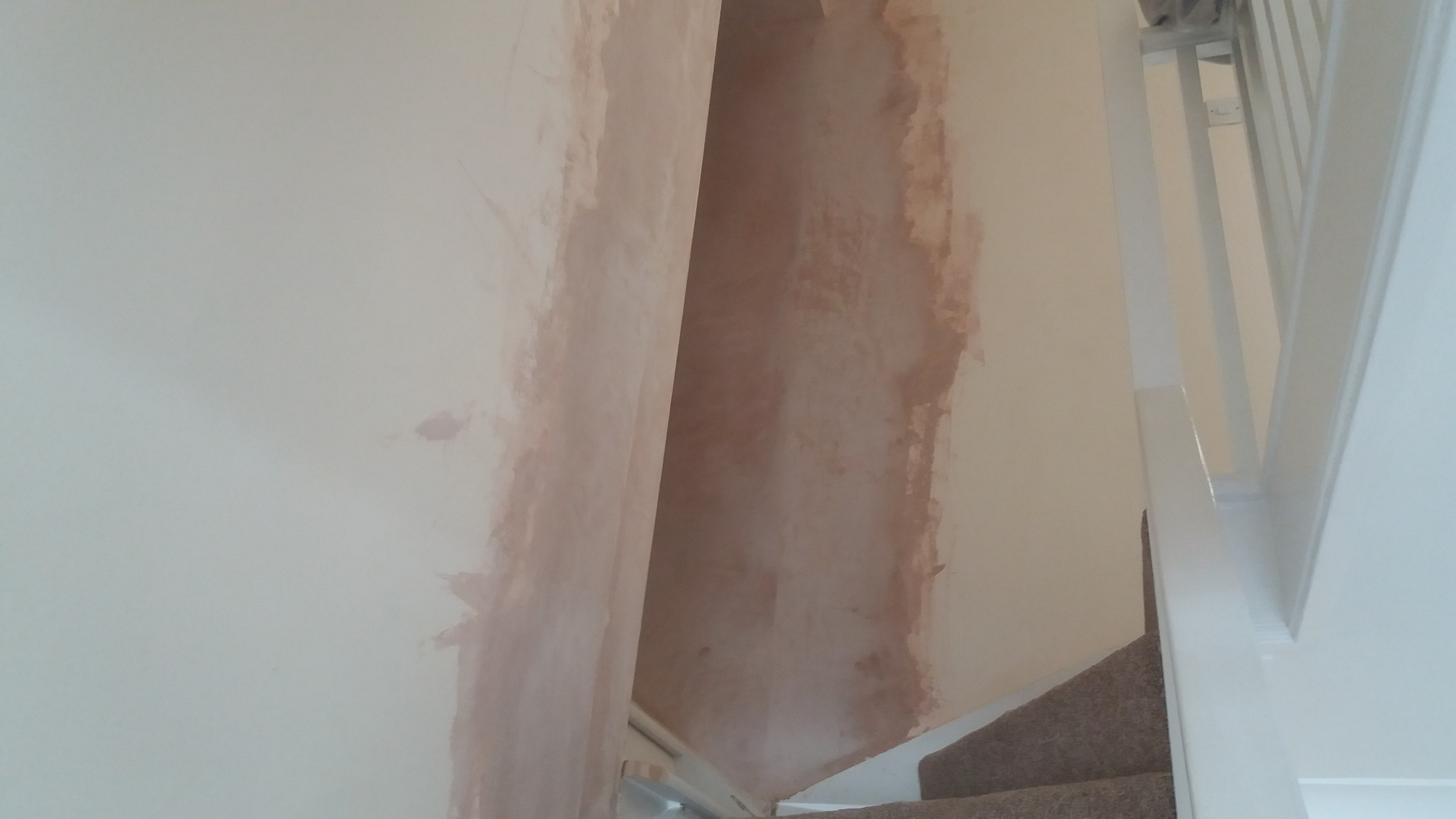 Painter and decorator job images