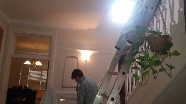 Painter and decorator job images